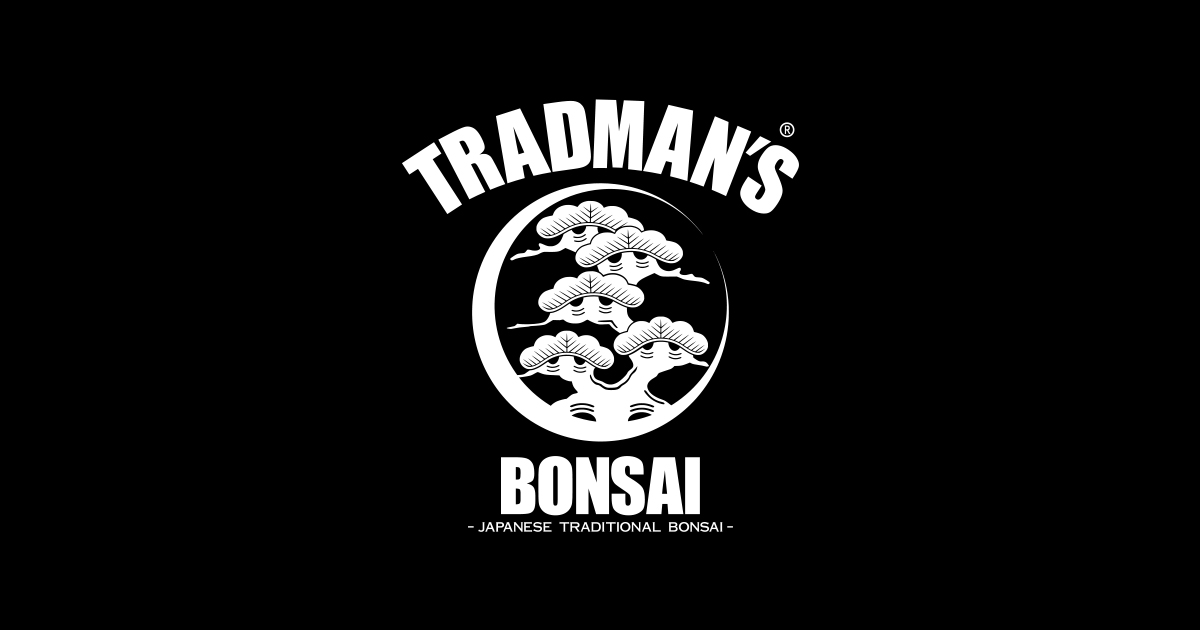 SHIRT｜TRADMAN