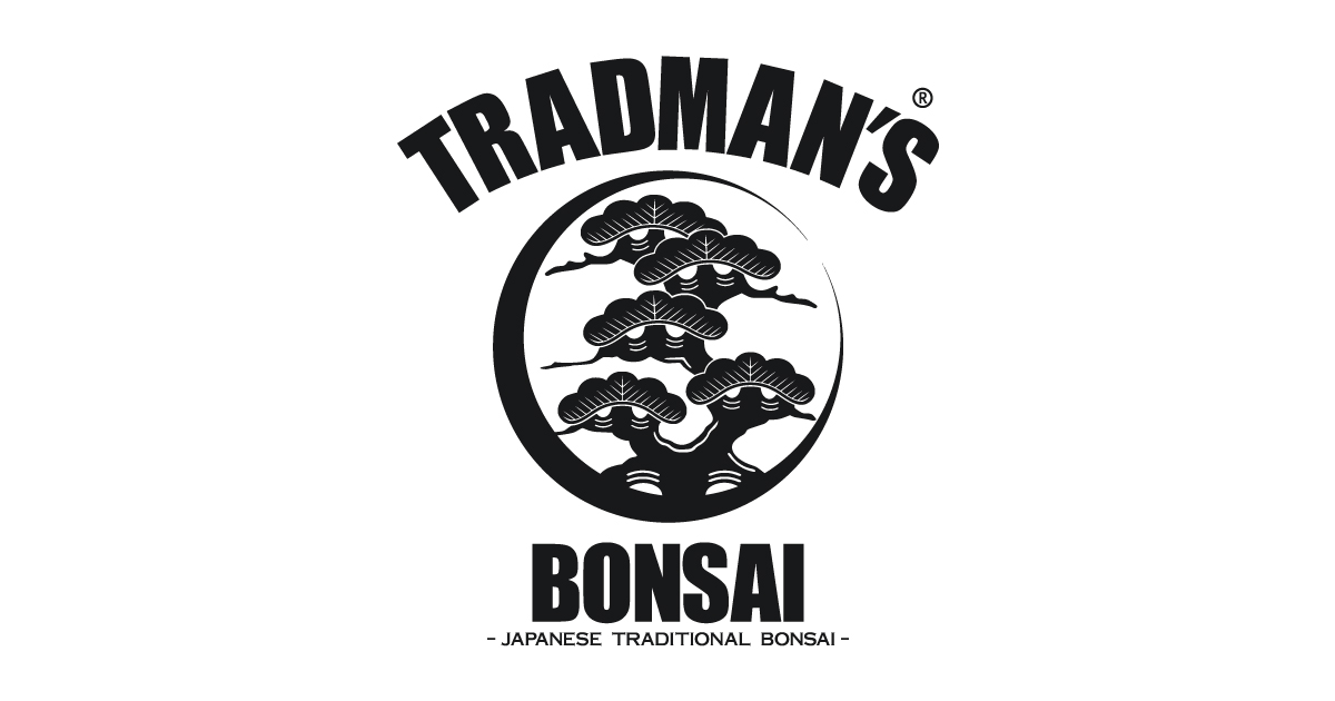 TRADMAN'S BONSAI × WAX MINISHIRT 鯉ロシャツ | nate-hospital.com