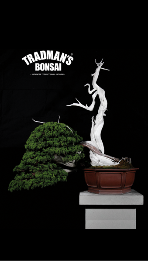 TRADMAN'S BONSAI ONLINE STORE