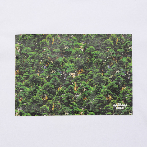 BONSAI CAMOUFLAGE TEE / BOX 詳細画像