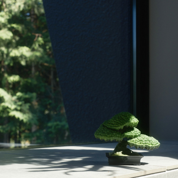 TRADMAN’S BONSAI FIGURE ”五葉松” 詳細画像