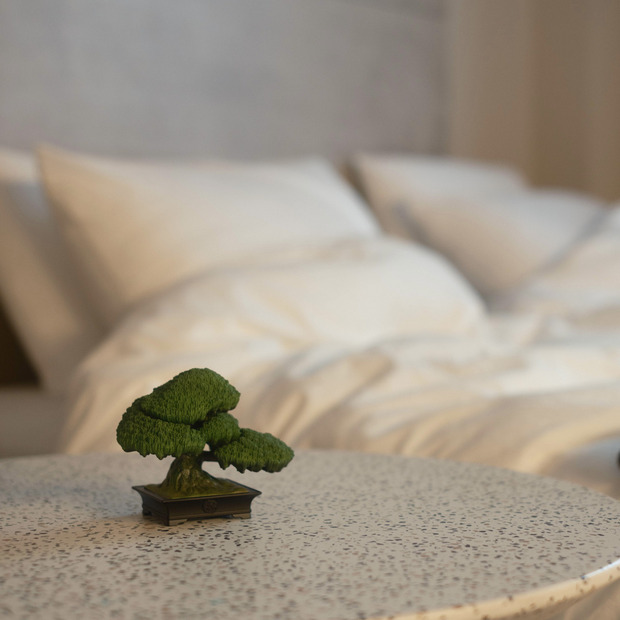 TRADMAN’S BONSAI FIGURE ”五葉松” 詳細画像
