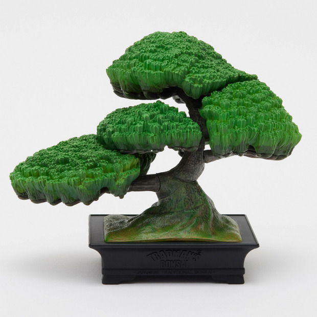 TRADMAN’S BONSAI FIGURE ”五葉松” 詳細画像