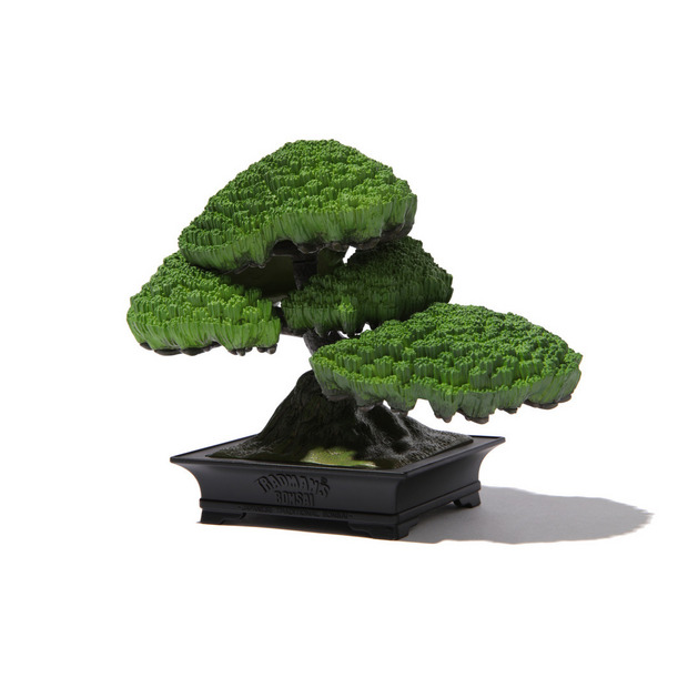 TRADMAN&rsquo;S BONSAI FIGURE &rdquo;五葉松&rdquo; 詳細画像