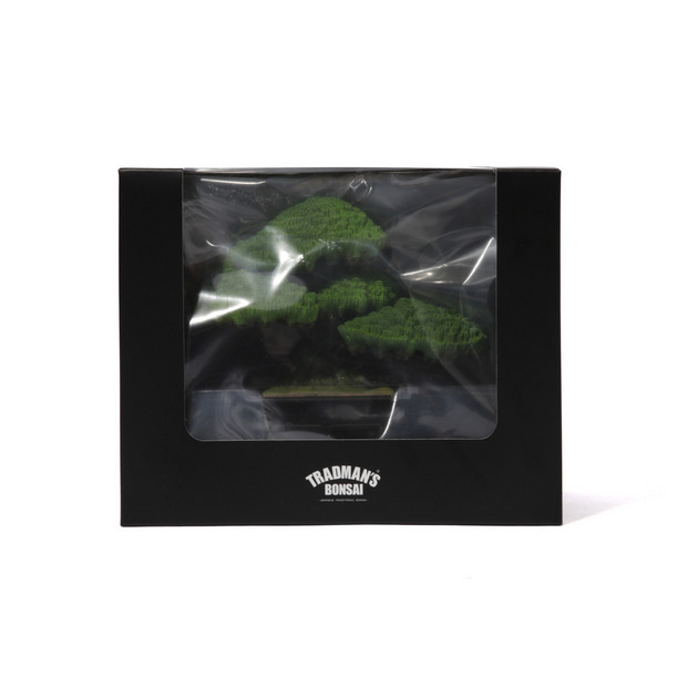 TRADMAN&rsquo;S BONSAI FIGURE &rdquo;五葉松&rdquo; 詳細画像