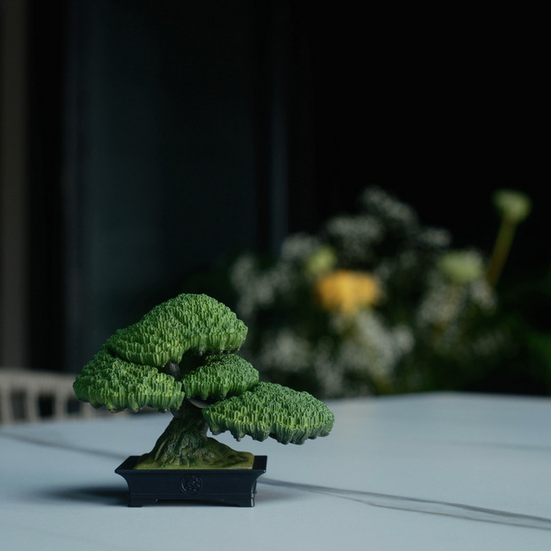 TRADMAN&rsquo;S BONSAI FIGURE &rdquo;五葉松&rdquo; 詳細画像