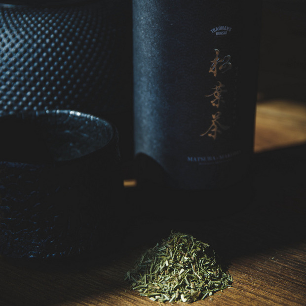 TRADMAN’S BONSAI -松葉茶- 詳細画像