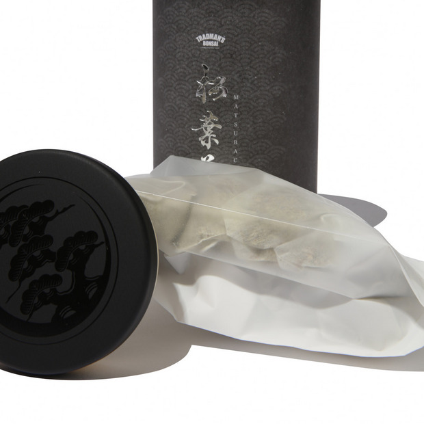 TRADMAN&rsquo;S BONSAI -松葉茶- 詳細画像