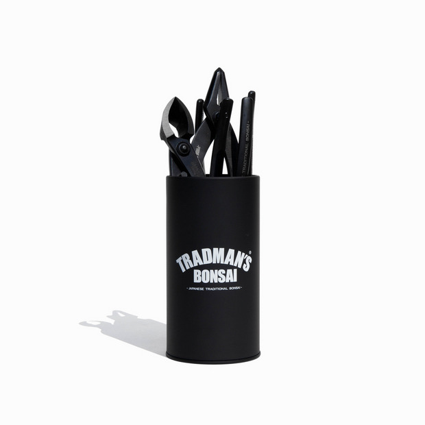 TRADMAN&rsquo;S BONSAI -松葉茶- 詳細画像