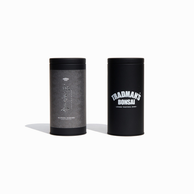 TRADMAN&rsquo;S BONSAI -松葉茶- 詳細画像
