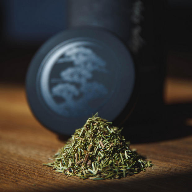 TRADMAN&rsquo;S BONSAI -松葉茶- 詳細画像