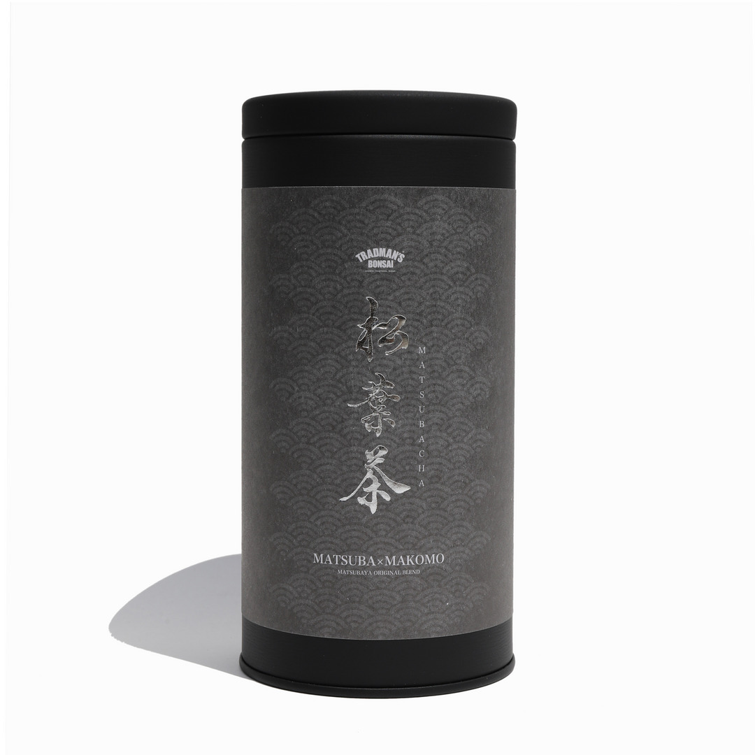 TRADMAN’S BONSAI -松葉茶-｜TRADMAN'S BONSAI ONLINE STORE