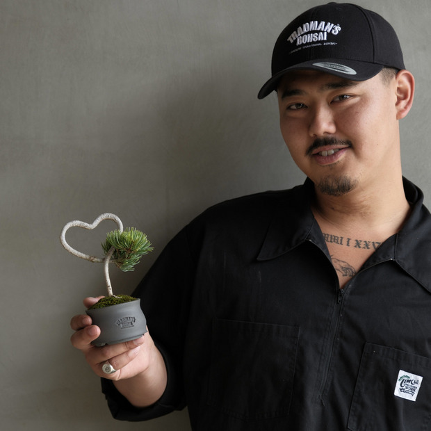 【HEART-SHAPED BONSAI】- 五葉松 - AM0001 詳細画像