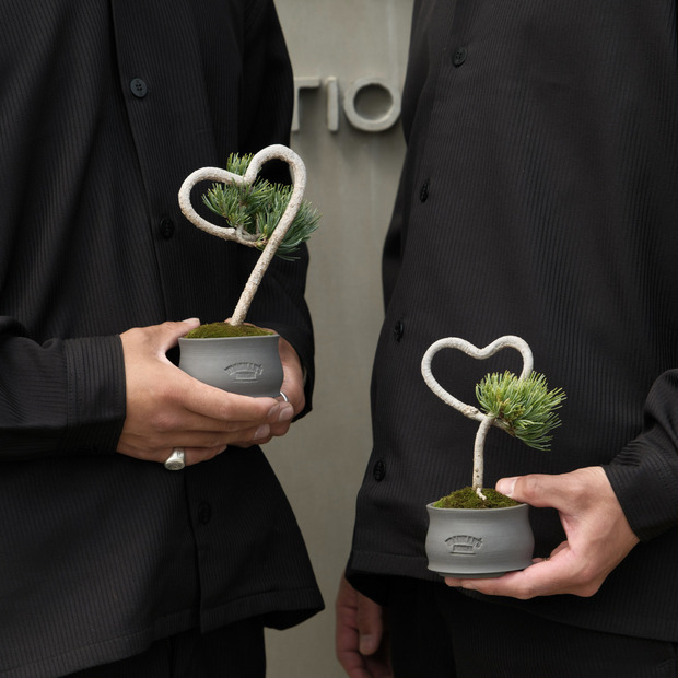 【HEART-SHAPED BONSAI】- 五葉松 - AM0001 詳細画像
