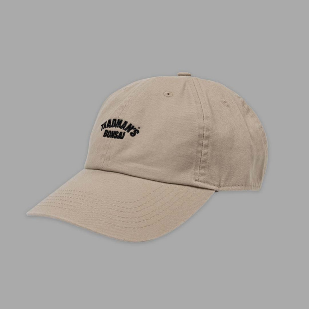 TRAD ARCH 6PANEL CAP / BEIGE