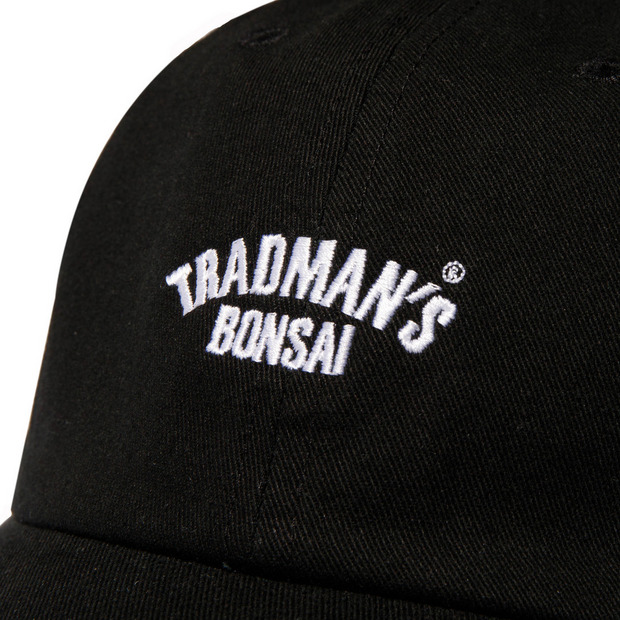 TRAD ARCH 6PANEL CAP 詳細画像