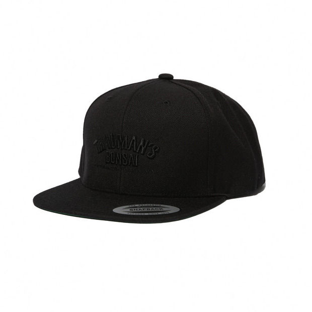 TRAD ARCH FLAT CAP 詳細画像