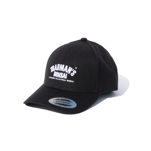 TRAD ARCH CURVED VISOR CAP 詳細画像