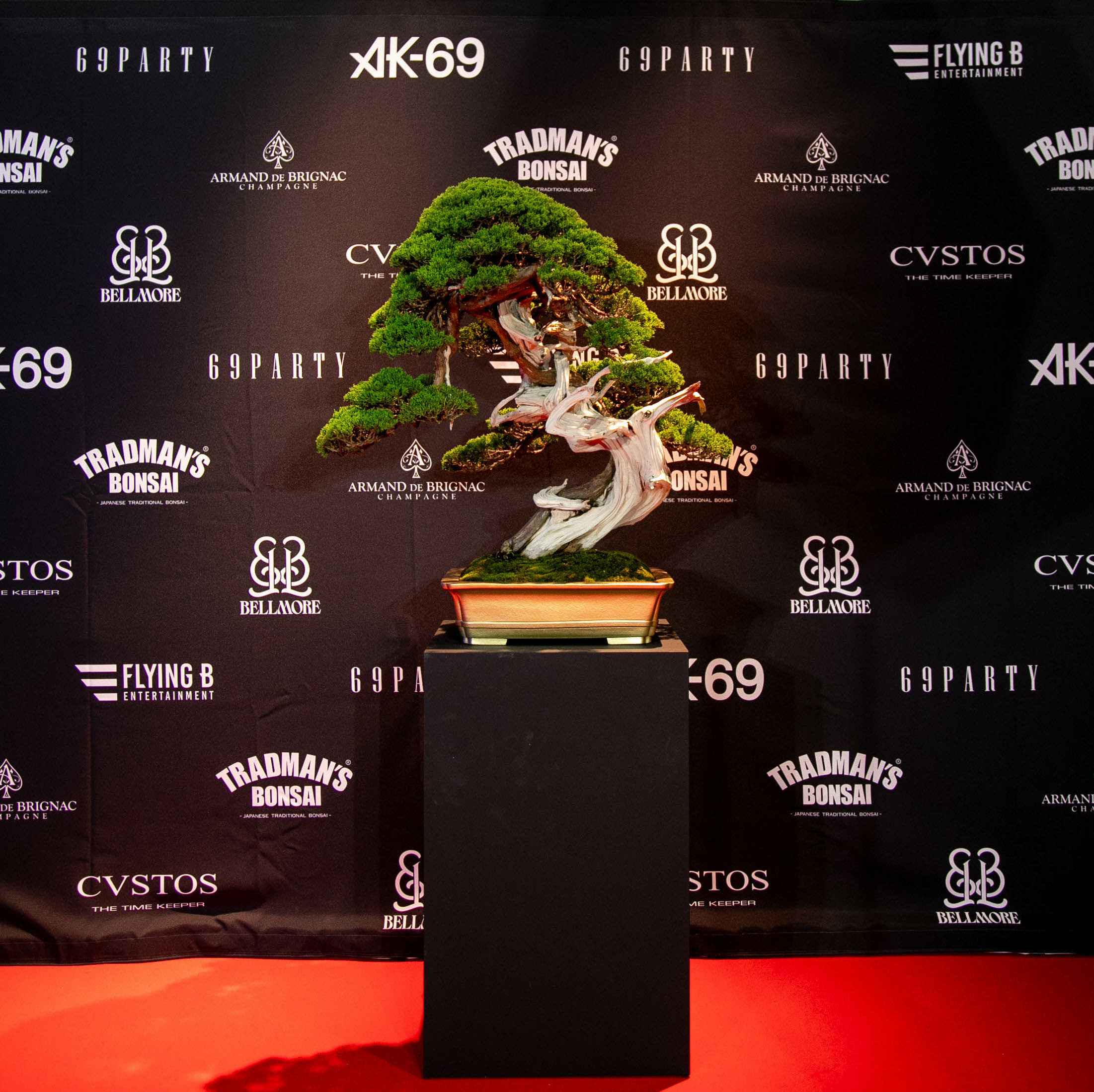 69-party BONSAI DISPLAY