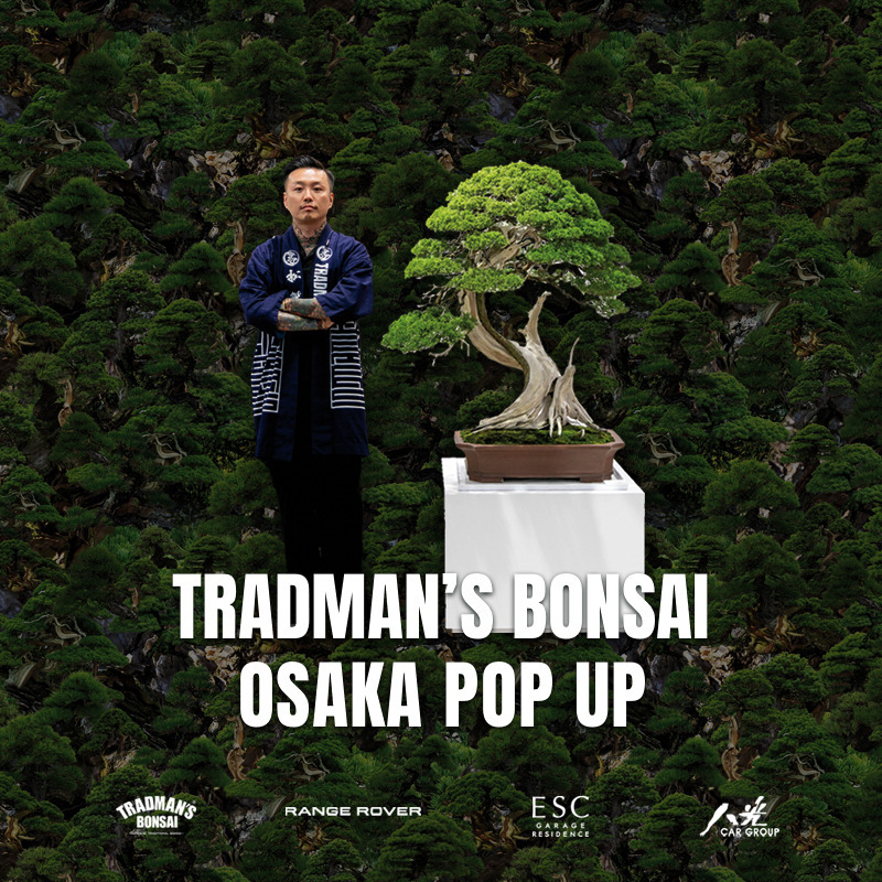 TRADMAN’S BONSAI大阪POP UP Vol.2